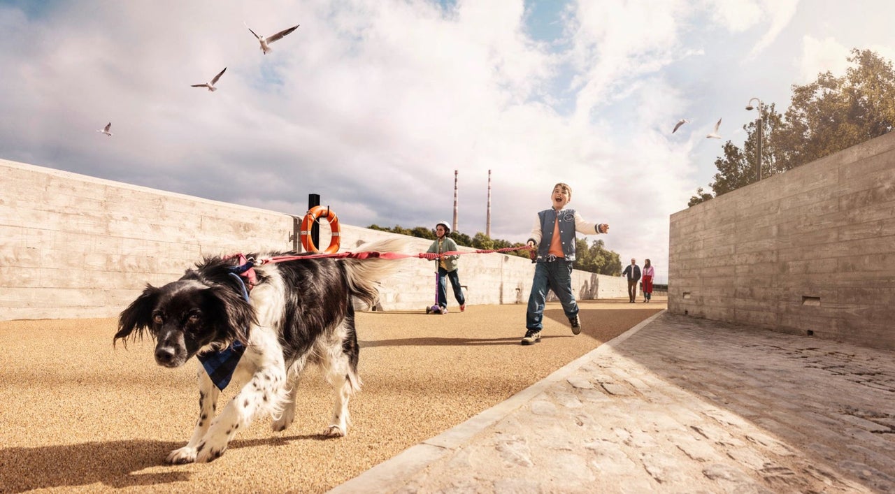 Two kids walking with their dog while two adults follow them