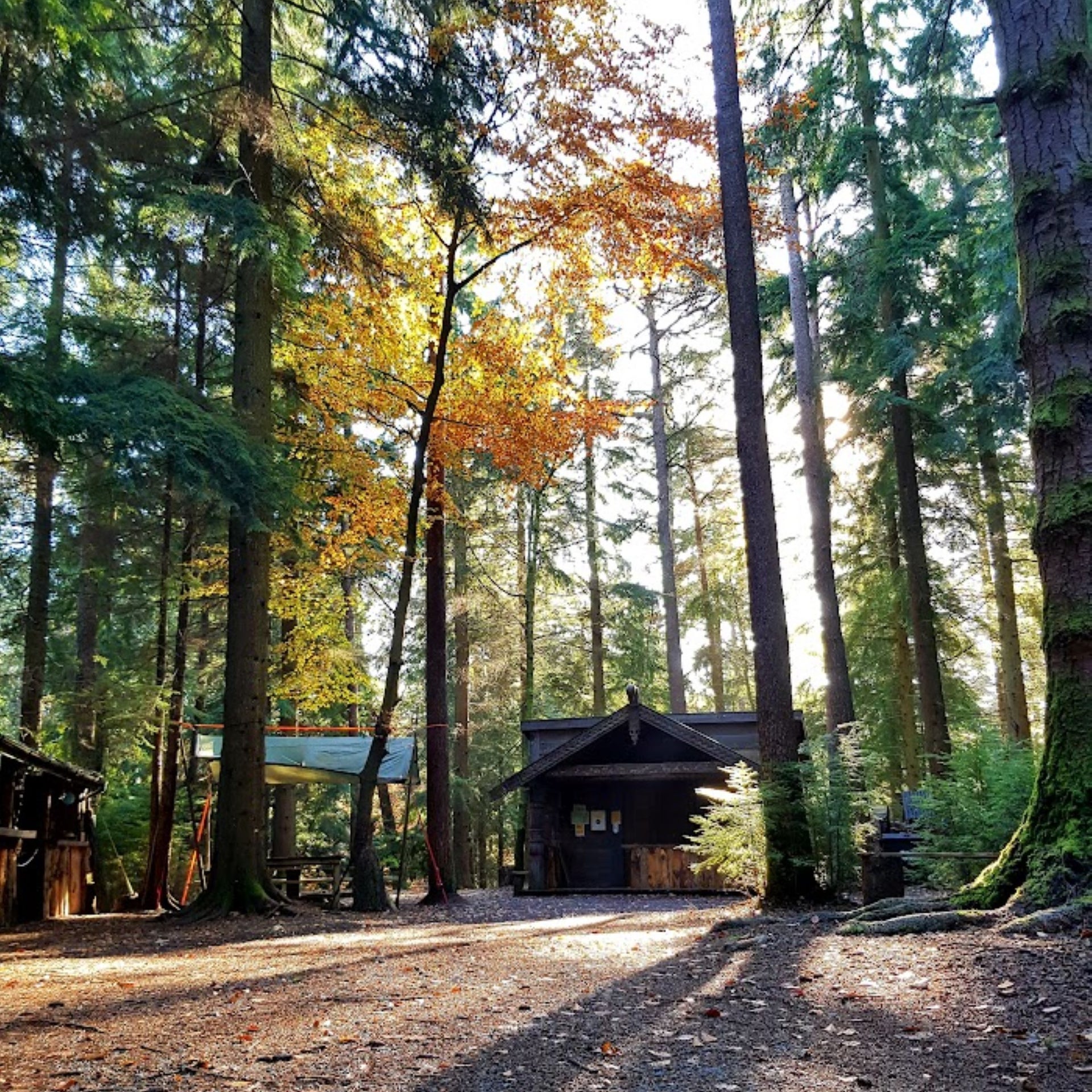 Film set from Vikings in a County Wicklow forest