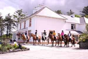 Fitzgeralds Farmhouse & Equestrian Centre