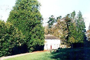 Chrysalis Holistic Centre