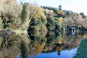 Canoeing and Boating at Castlecomer Discovery Park