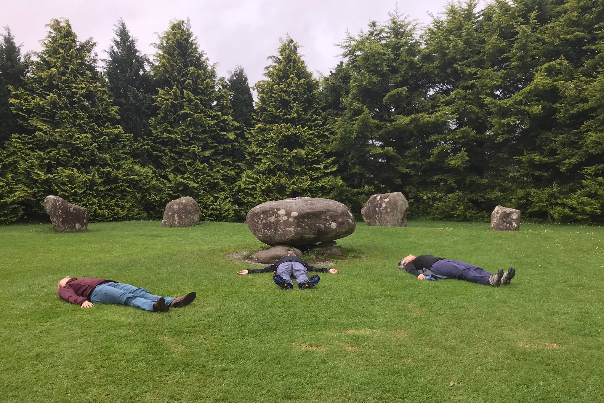 Group laying on grass