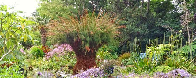 Cluain na dTor Seaside Gardens & Nursery