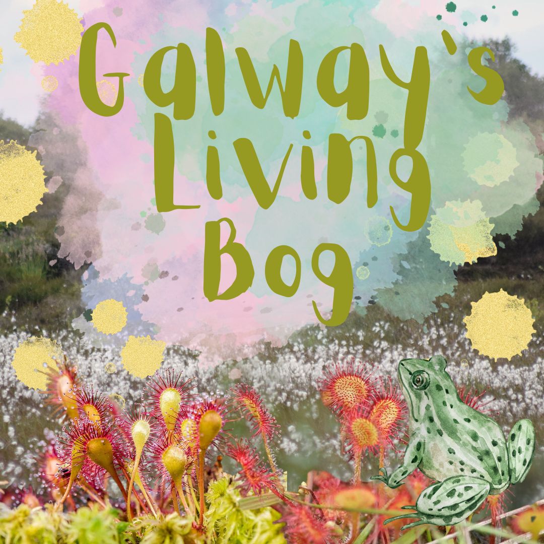 Wonderful Walking Wednesdays