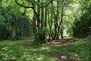 The Glen, Strandhill