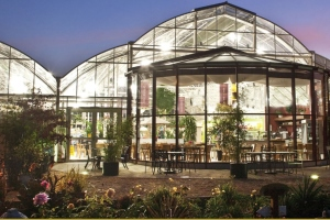 Visit The Café, Ballyseedy Garden Centre with Discover Ireland