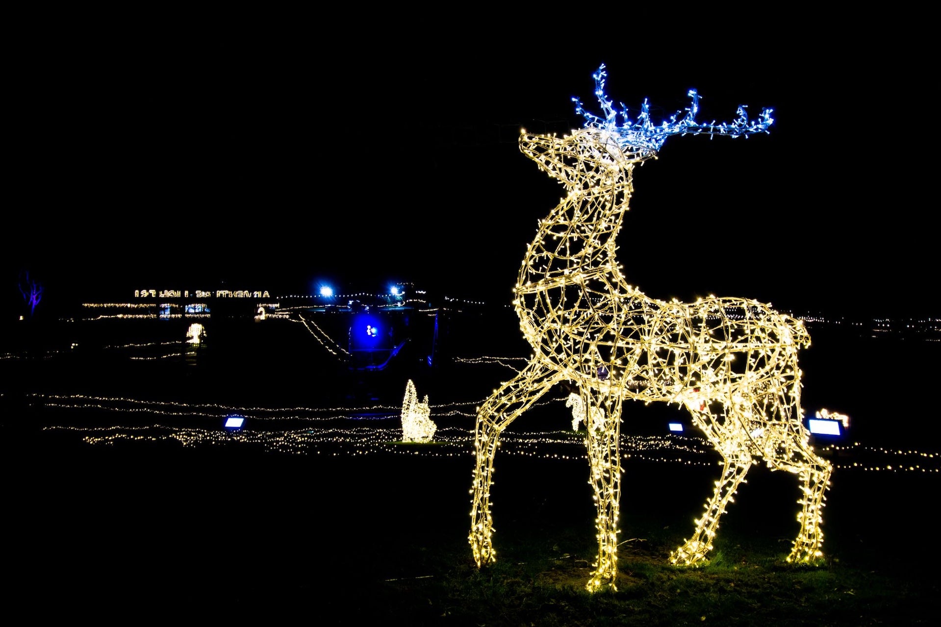 Adventure Lights at Skypark 2025, at night a large figure of a stag is lit up in yellow lights with blue antlers