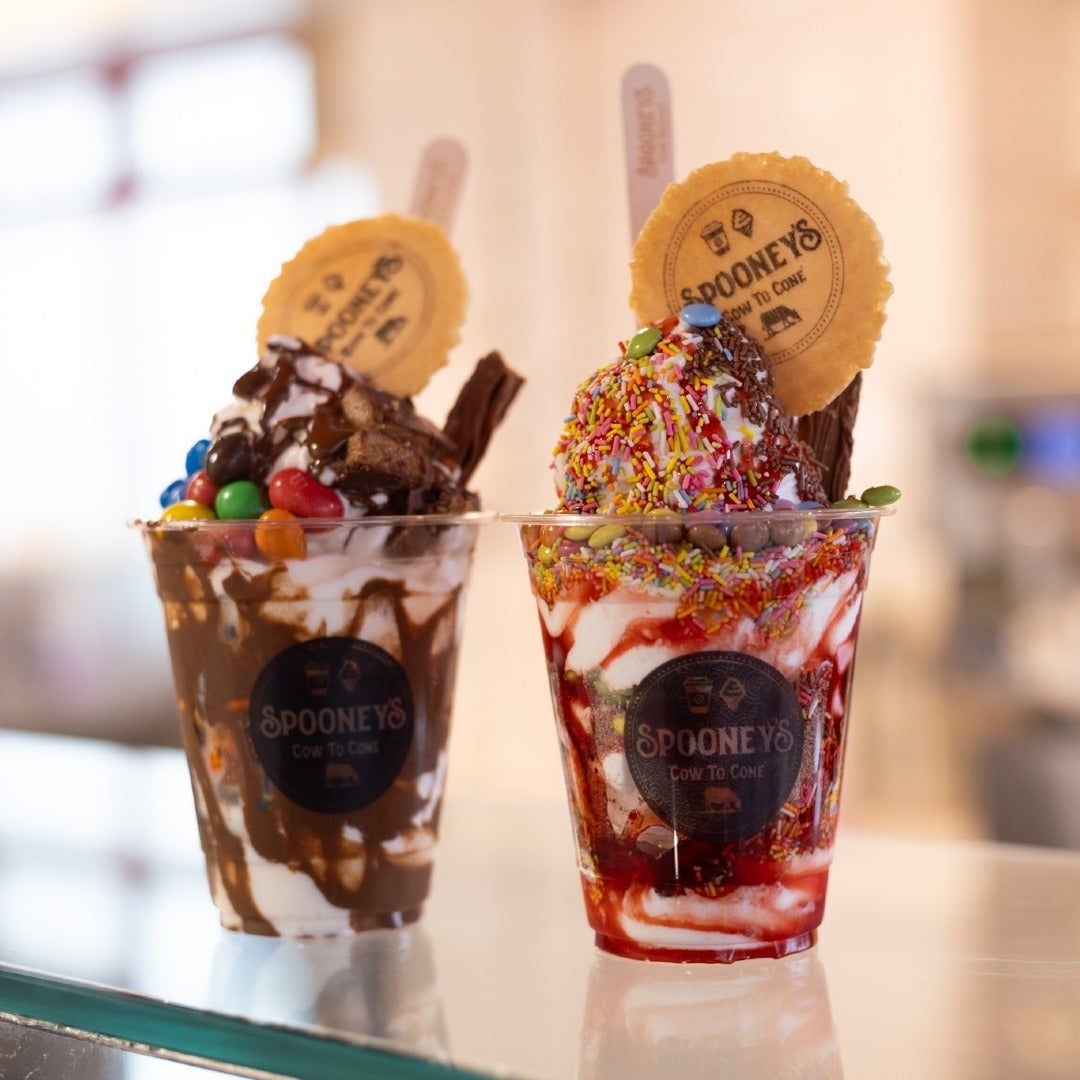 How to Visit the Cliffs of Moher and Lahinch Without a Car