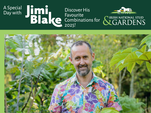 A smiling man in colourful, flowery shirt is surrounded by green plants.