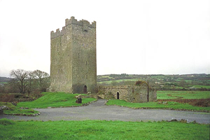 Dysert O'Dea Castle & Clare Archaeology Centre