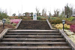 Outdoor stairs at O'Carolan Heritage Park