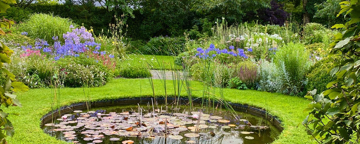 Pond with lily pads and reeds at Fruitlawn Garden