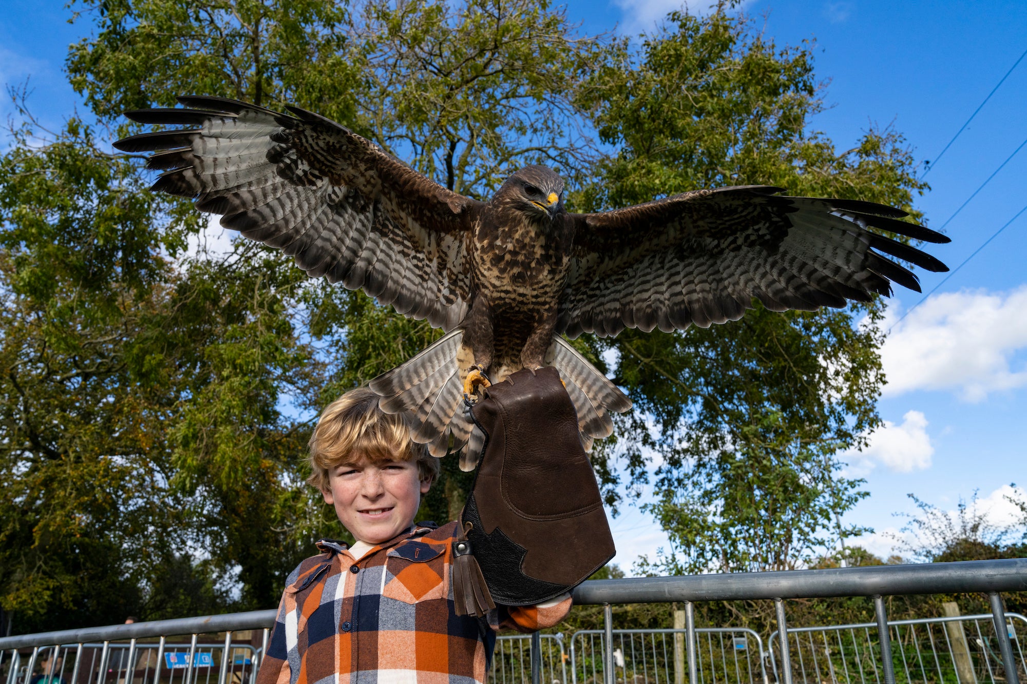 A boy holding a falcon at Causey Farm in Navan, County Meath