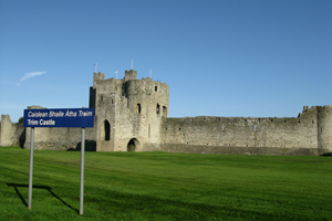 Trim Castle