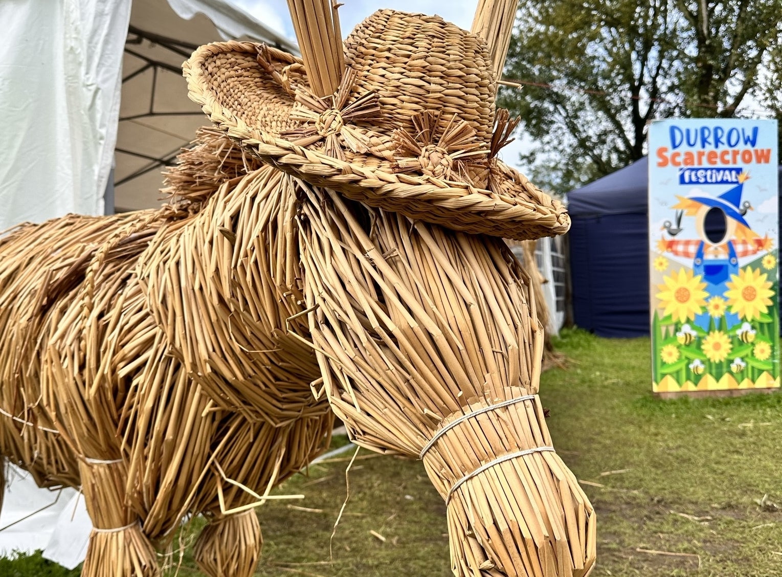 Donkey made from Rush, crafted by Gerardine Wisdom, Rush Workshops.