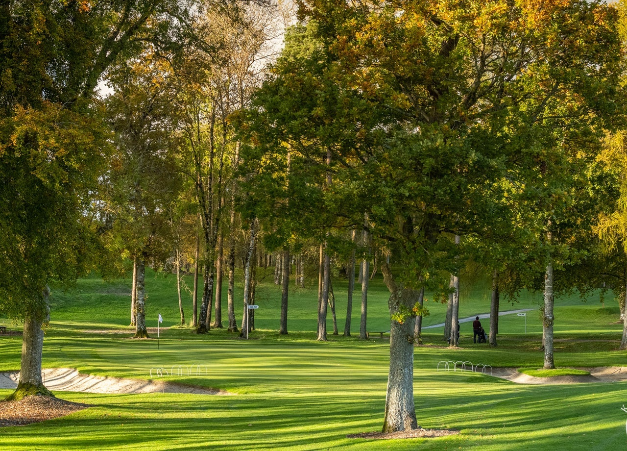 Trees on a golf course surrounding a sandy bunker