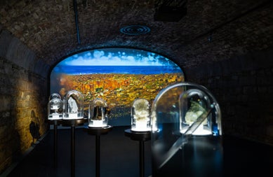 Five glass cases on display in a stone vaulted room with a background image projected on rear wall