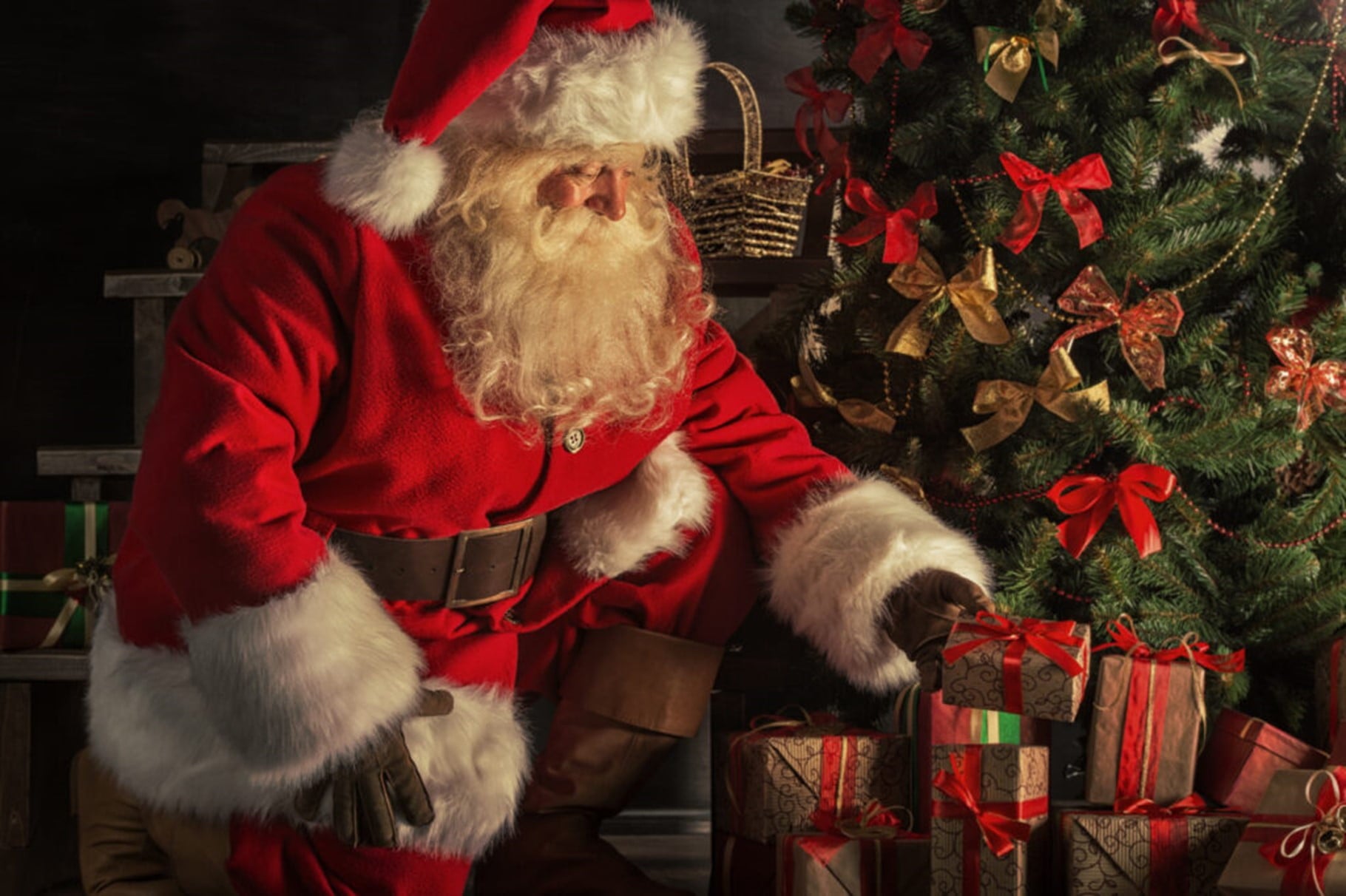 The Magic of Santa at Fota House