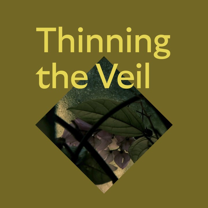 Thinning the veil event image