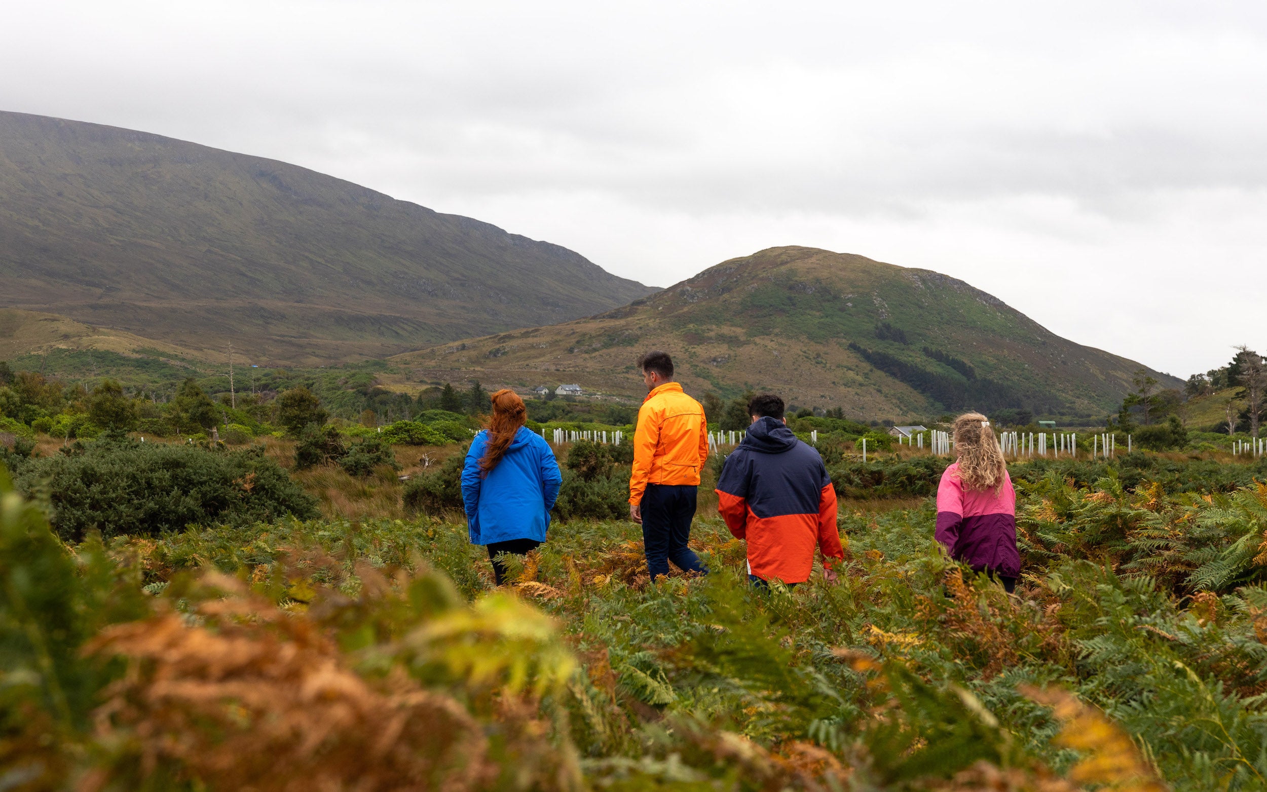 People walking through Wild Neohin National Park in County Mayo