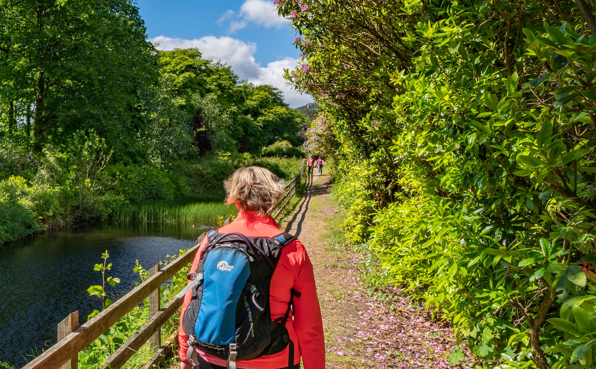 A woman walking along Mount Melleray Abbey in Co Waterford