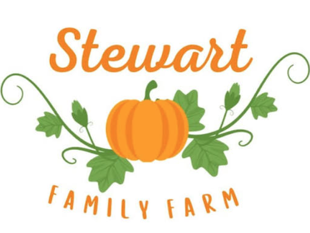 Pumpkin Patch Experience at Stewart Family Farm, Longford