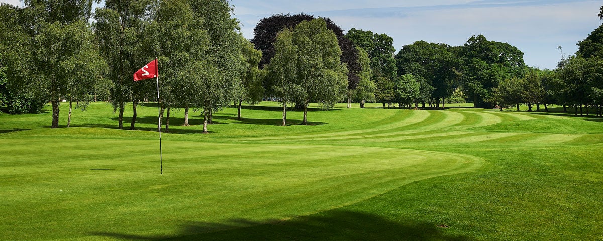 A golf course with trees
