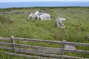 Ballynamona Court Cairn