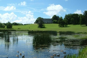 Curraghchase Forest Park 