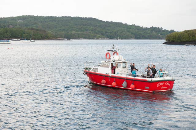 Bantry Bay Charters