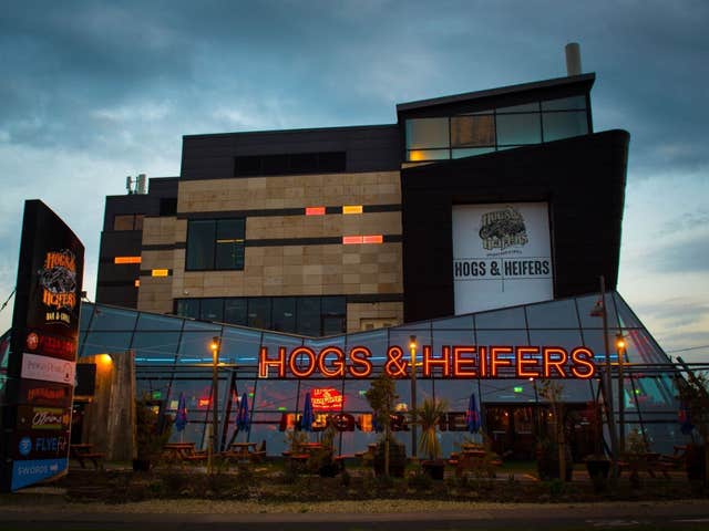 Hogs & Heifers