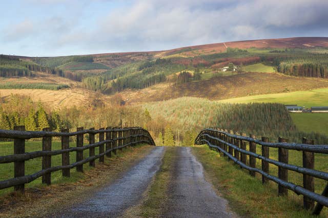 Slieve Bloom Mountains
