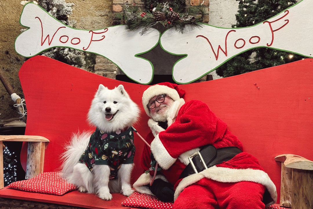 Santa Paws at Newbridge House & Farm