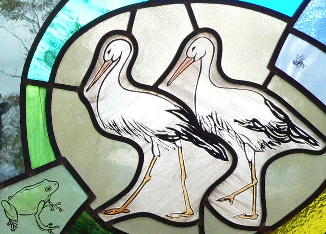 Image of storks and frog in stained glass
