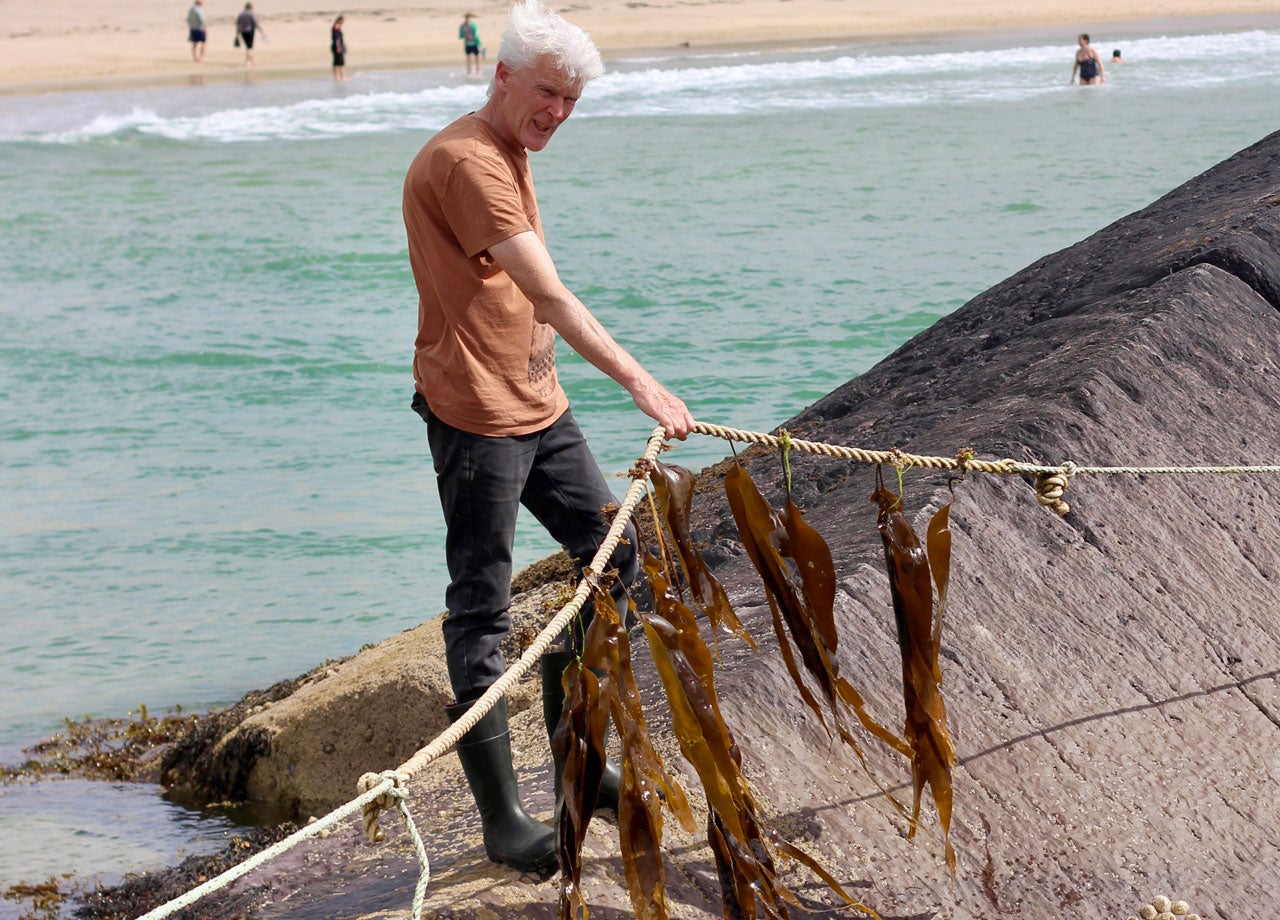 A man harvesting seaweed