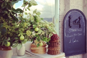 Strandfield Café