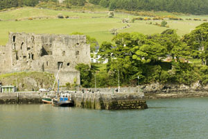 Carlingford Castle