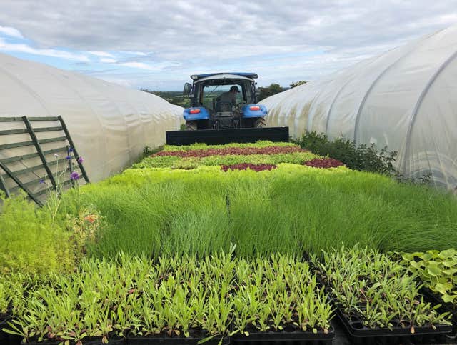 McNally Family Farm Tour