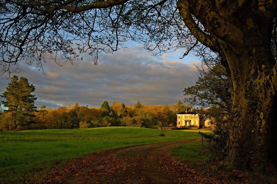 View of field infront of house