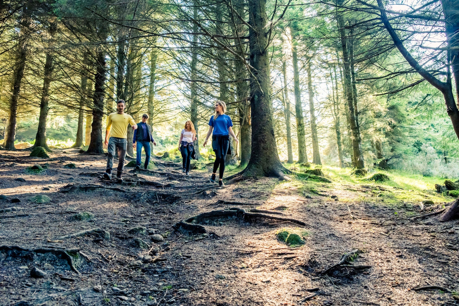 Hikers in the Dublin Mountains