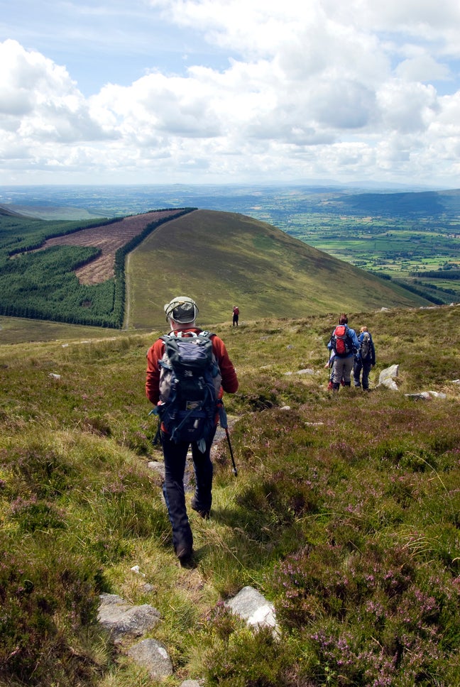 Carlow Autumn Walking Festival