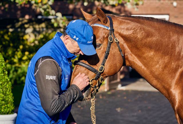 Kildangan Stud - Foal to Fame Tour