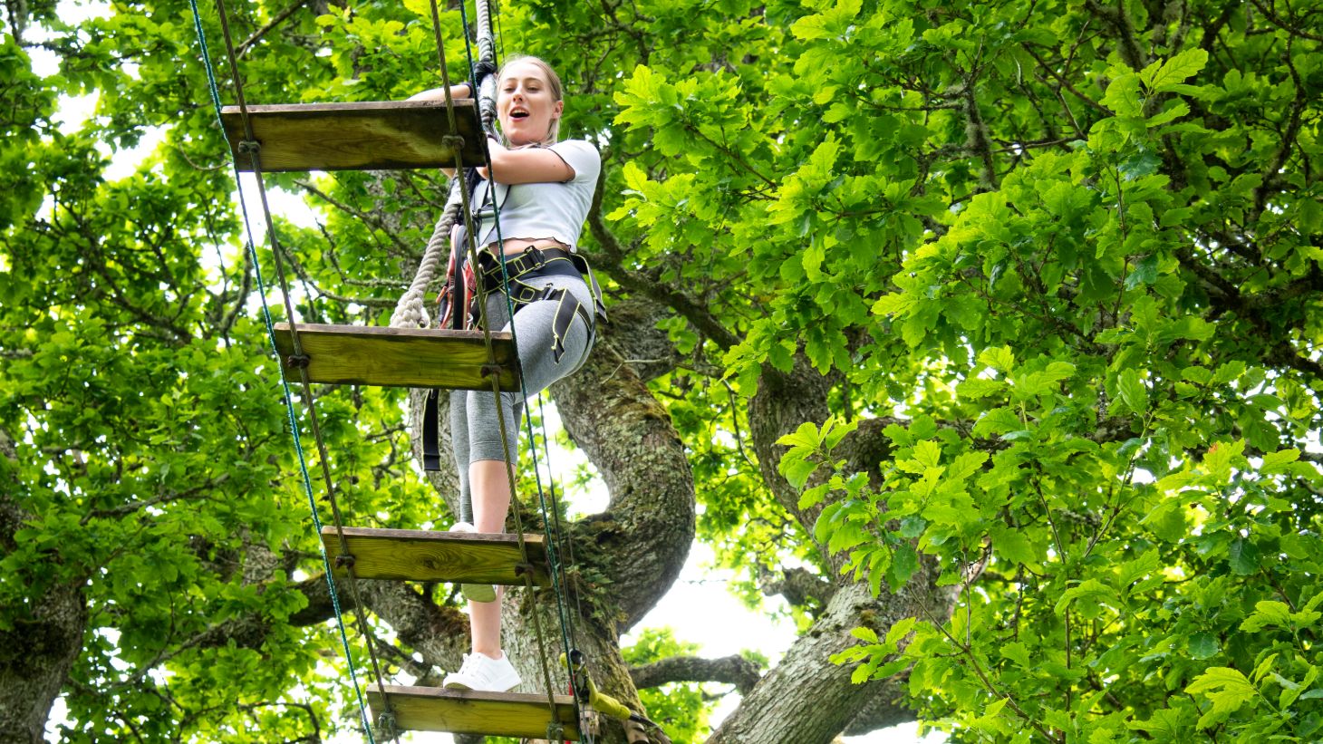 Young girl climbing a wooden bridge in Lough Key, Roscommon