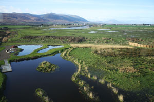 Tralee Bay Wetlands Centre 