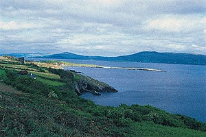 Sheep’s Head Loops