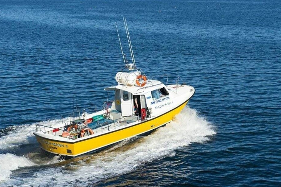 Boat cruising on open water.