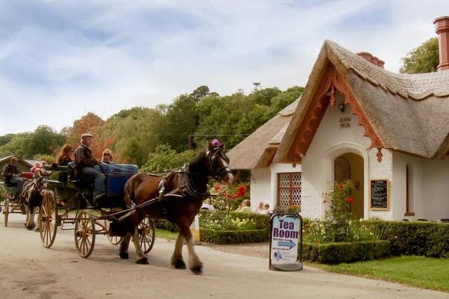 Killarney Jaunting Cars