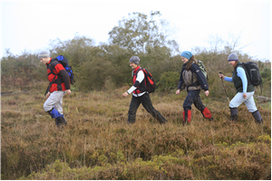 Adults walking through bogland
