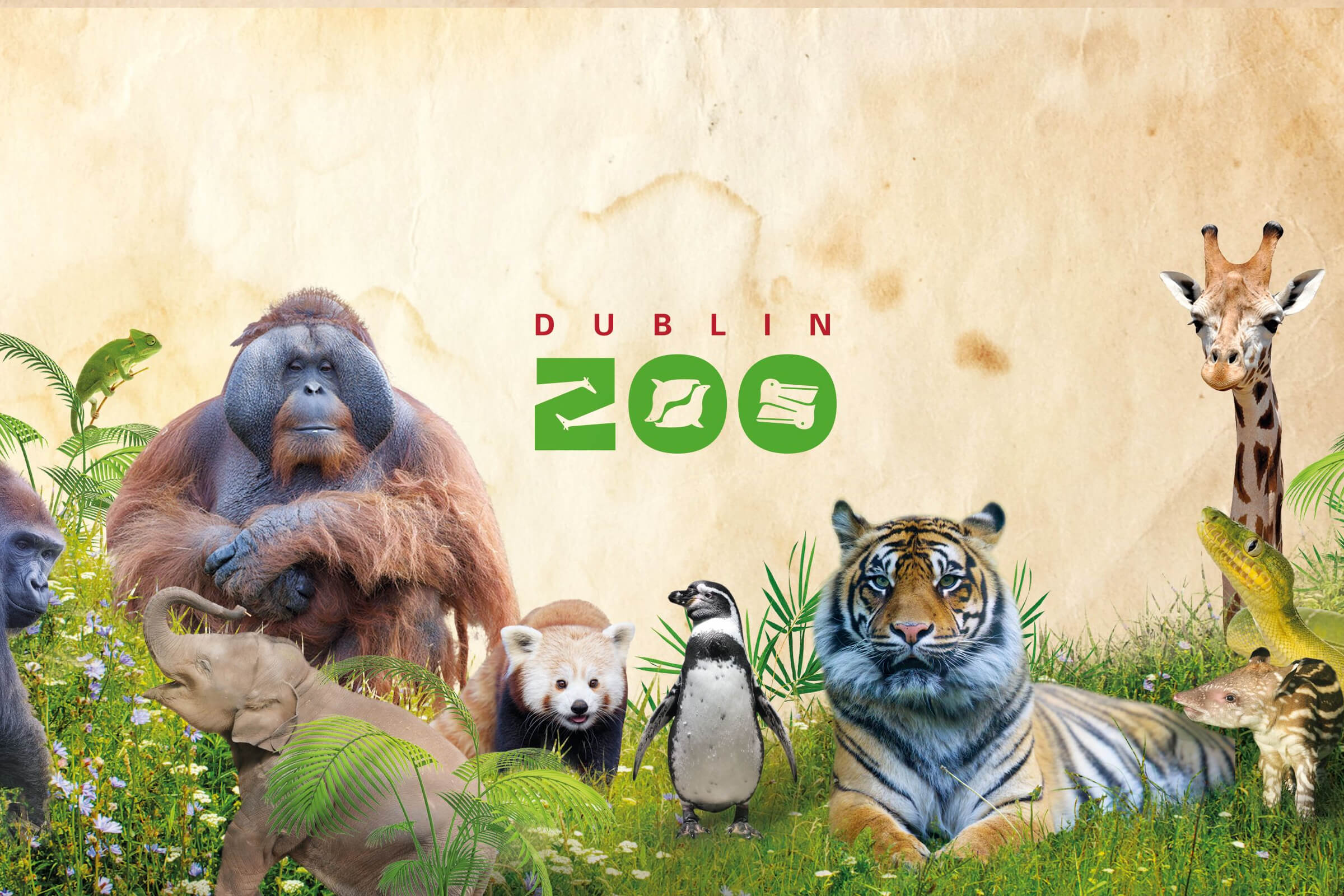 dublin zoo animals