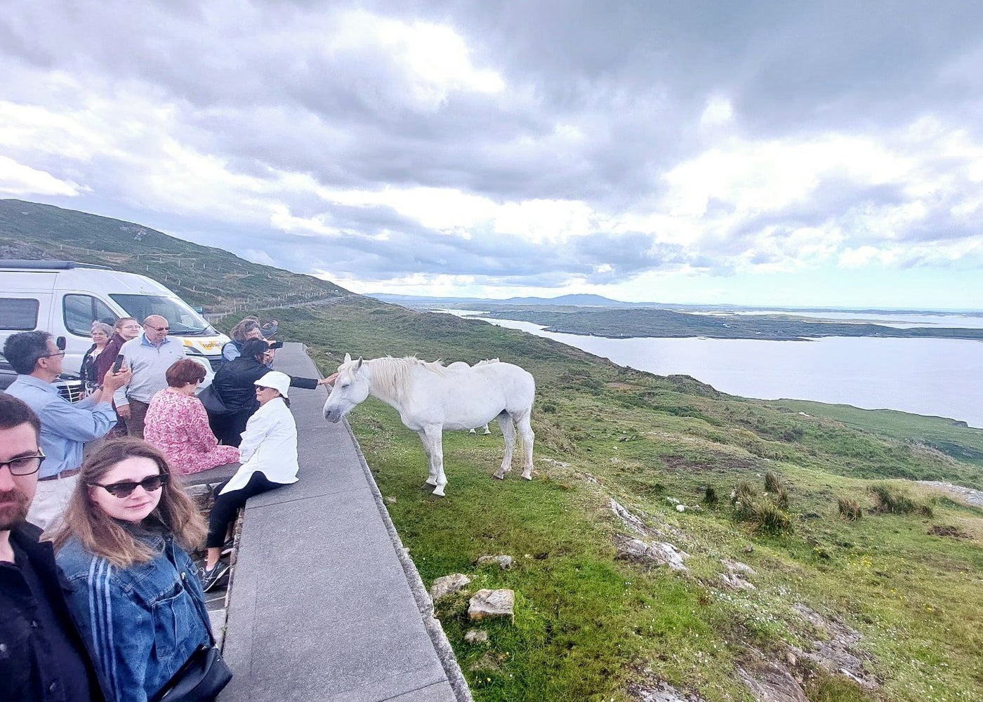People petting a white horse while on a tour with Wild About Ireland Tours
